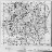 Web Mapping