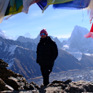 User profile picture